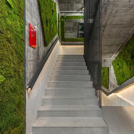 Urban Budget ホテル ティミショアラ