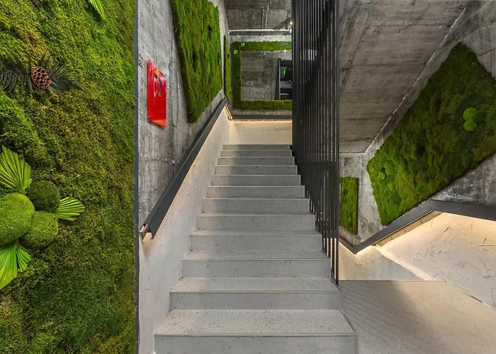 Urban Budget מלון טימישוארה